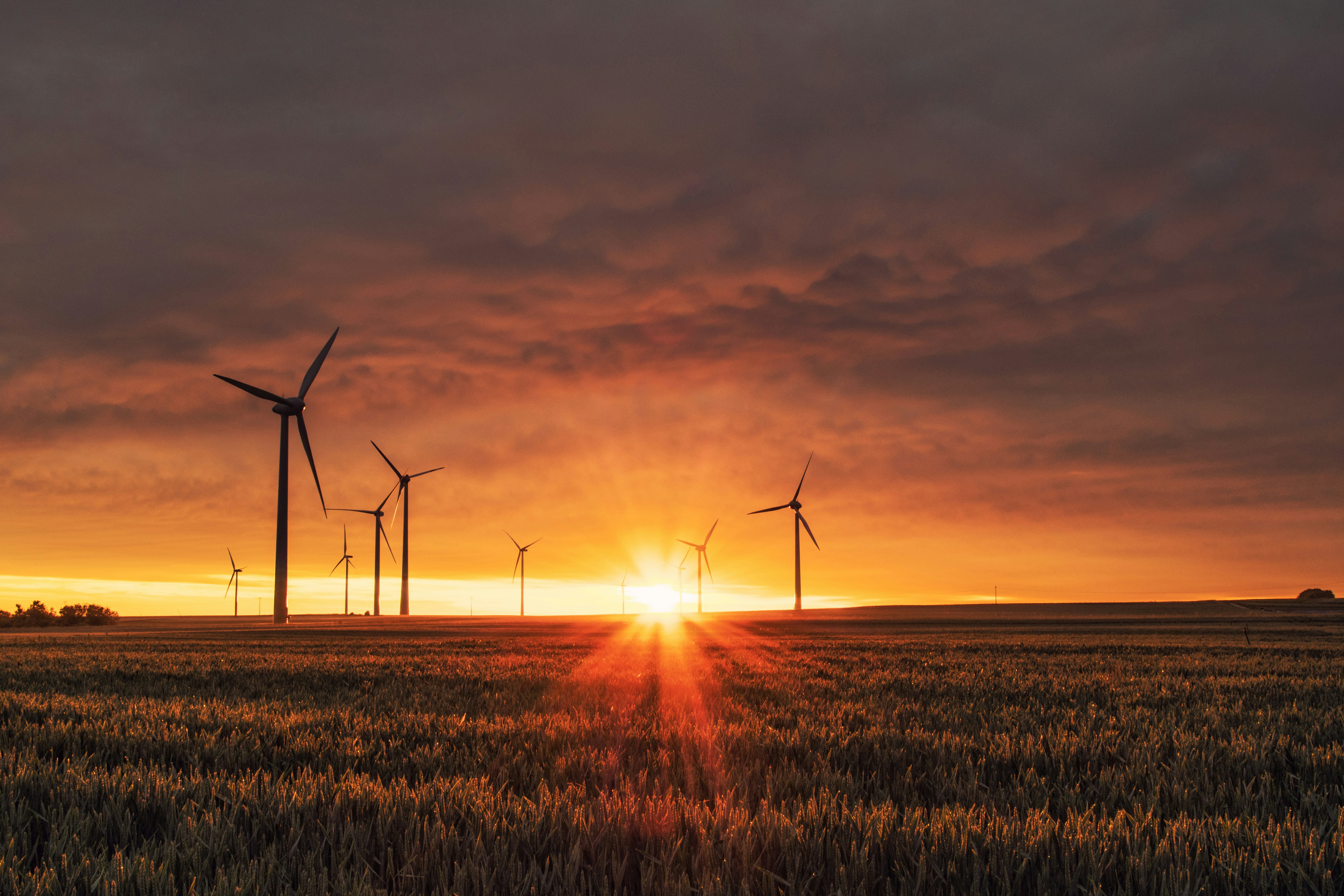 Wind turbines on green hills