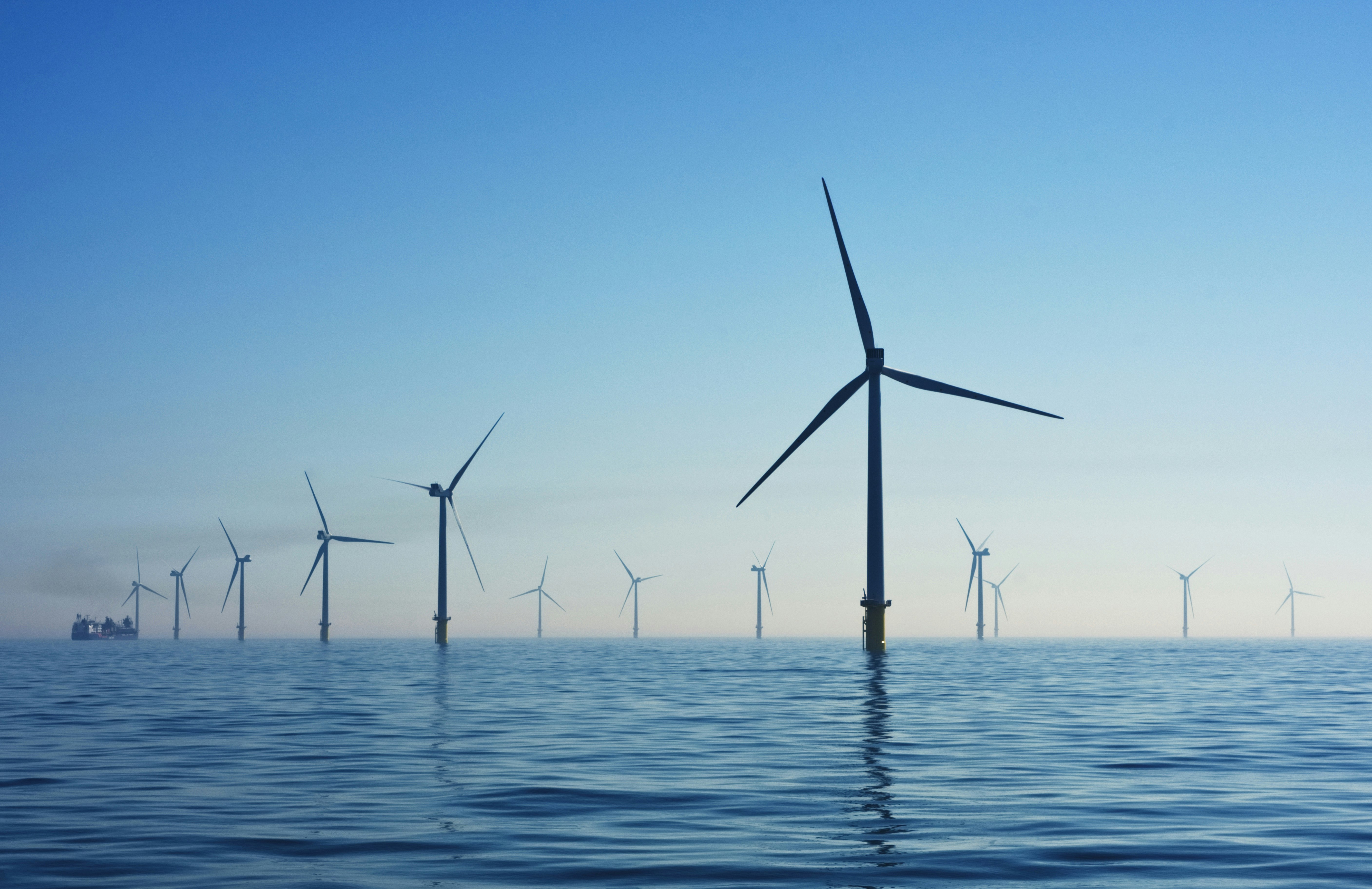 Wind turbines hybrid park
